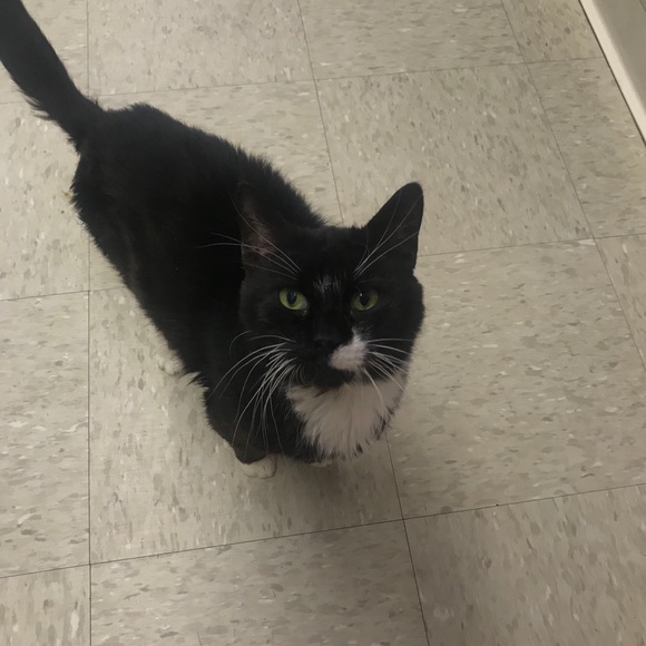 Meet your Posher, Dawnmarie - Picture 1 of 1